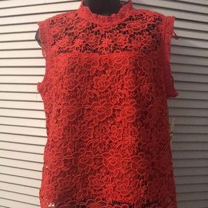 Beautiful lace blouse by Nanette Laporte.